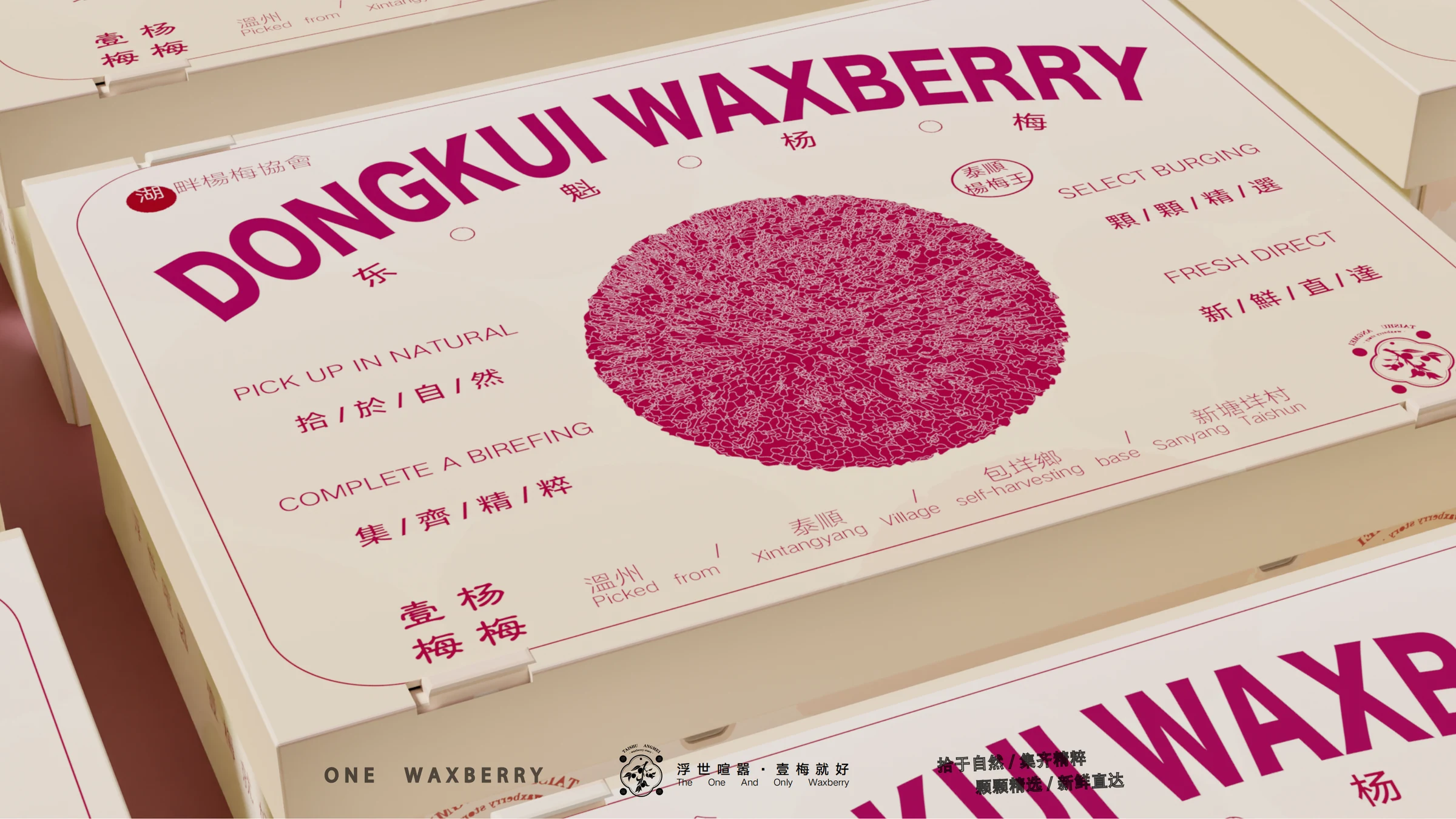 壹梅·杨梅包装与品牌设计项目封面 / Cover of the Yimei Bayberry packaging and brand design project