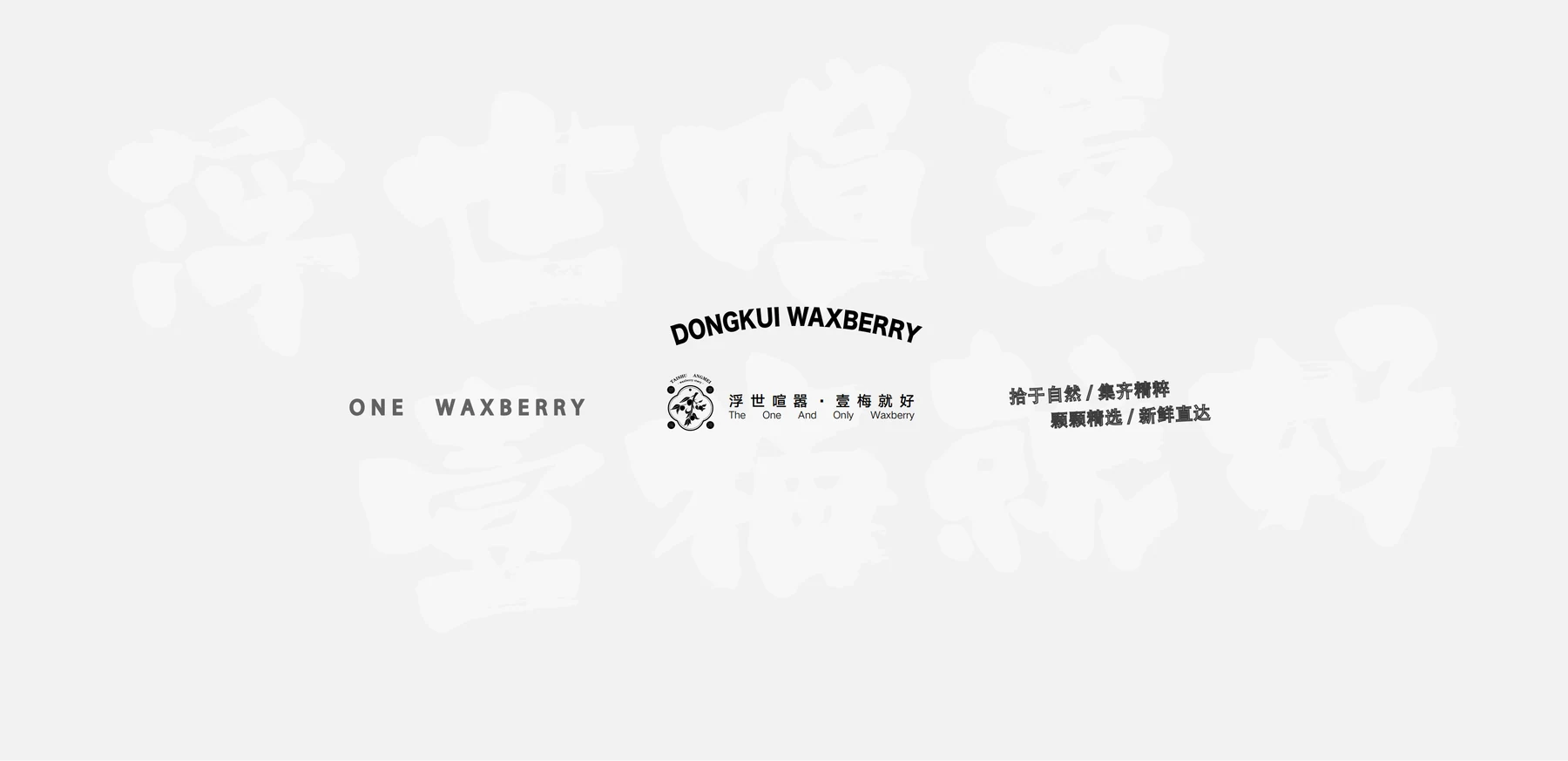 壹梅·杨梅产品设计详解第11部分 / Yimei Bayberry product design details, part 11