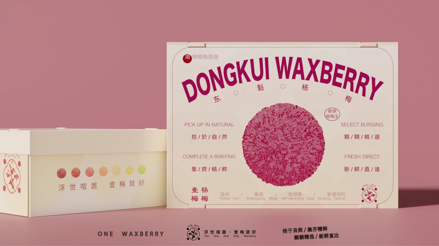 壹梅·杨梅品牌与包装视觉展示一 / Yimei Bayberry brand and packaging presentation I