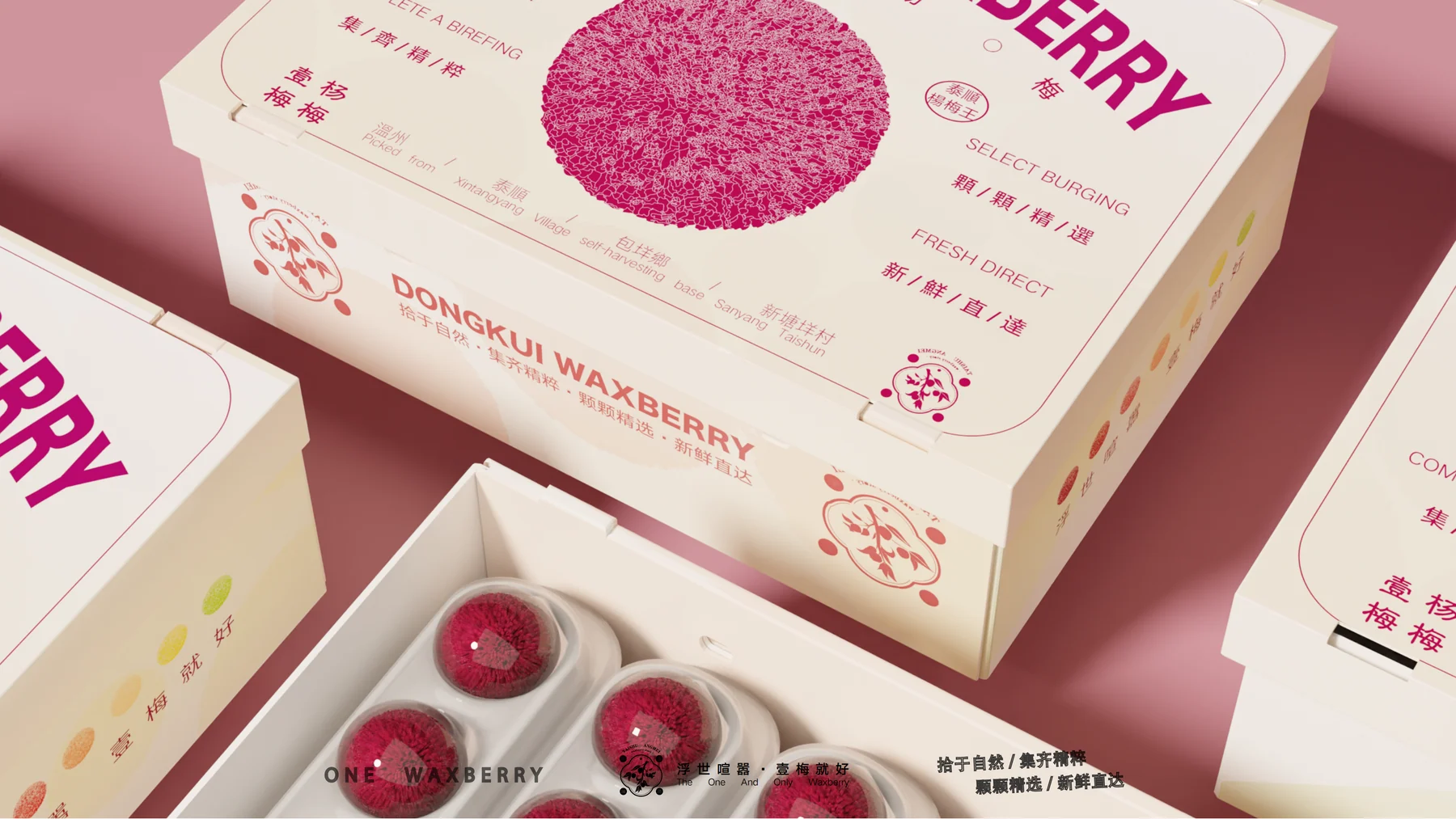 壹梅·杨梅品牌与包装视觉展示二 / Yimei Bayberry brand and packaging presentation II