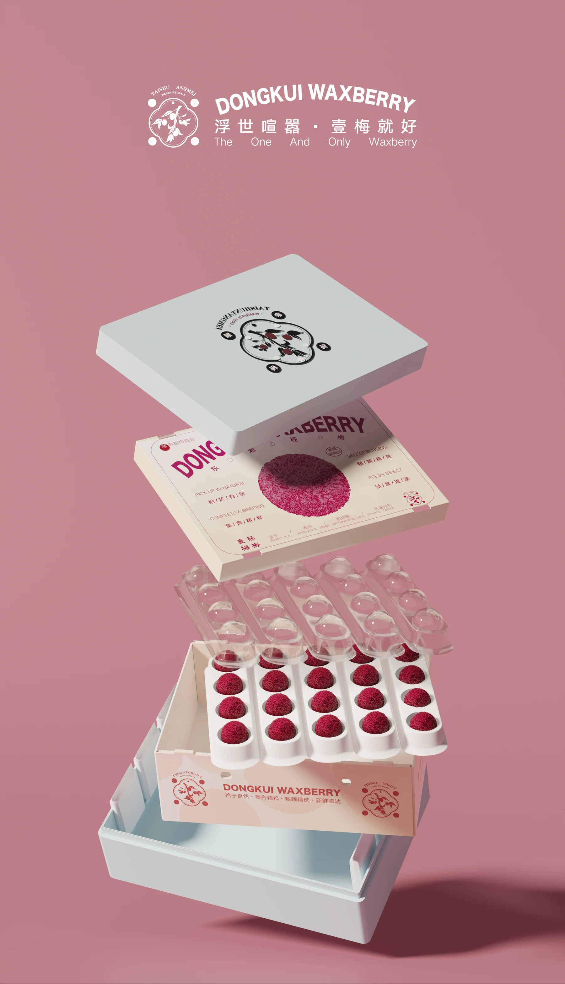 壹梅·杨梅包装系统长幅视觉展示 / Extended visual presentation of the Yimei Bayberry packaging system